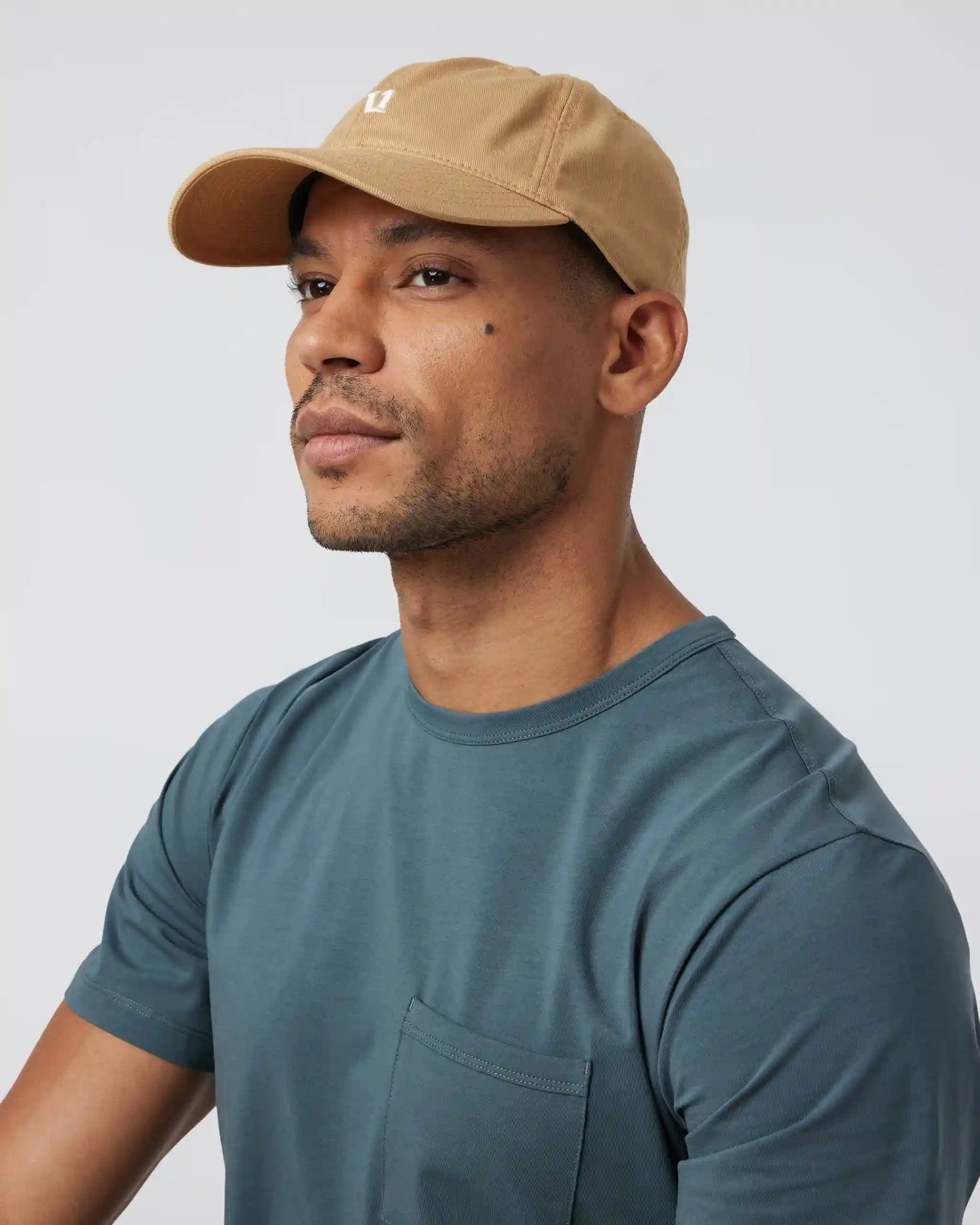 V1 Dad Hat 2.0