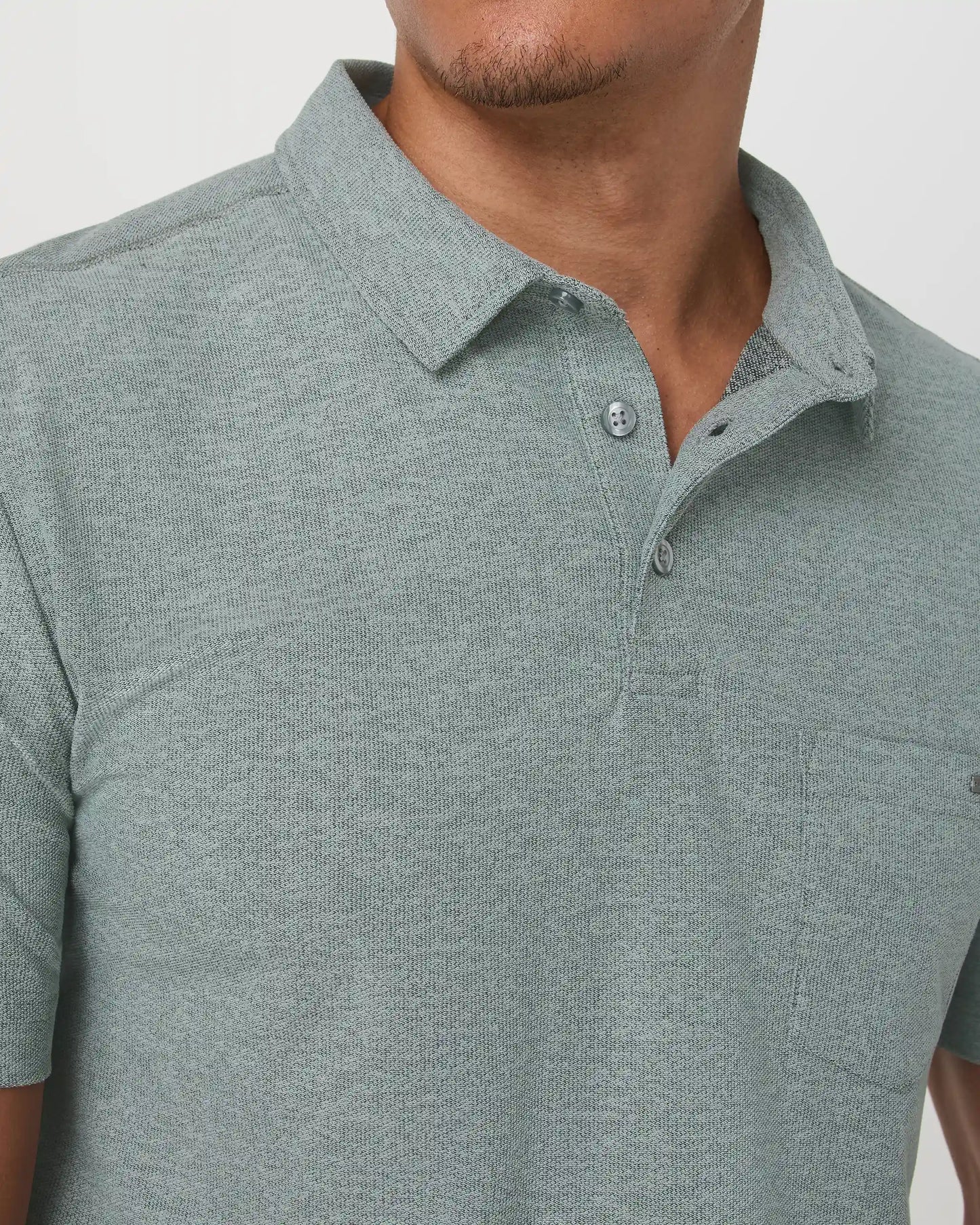 Ace Polo