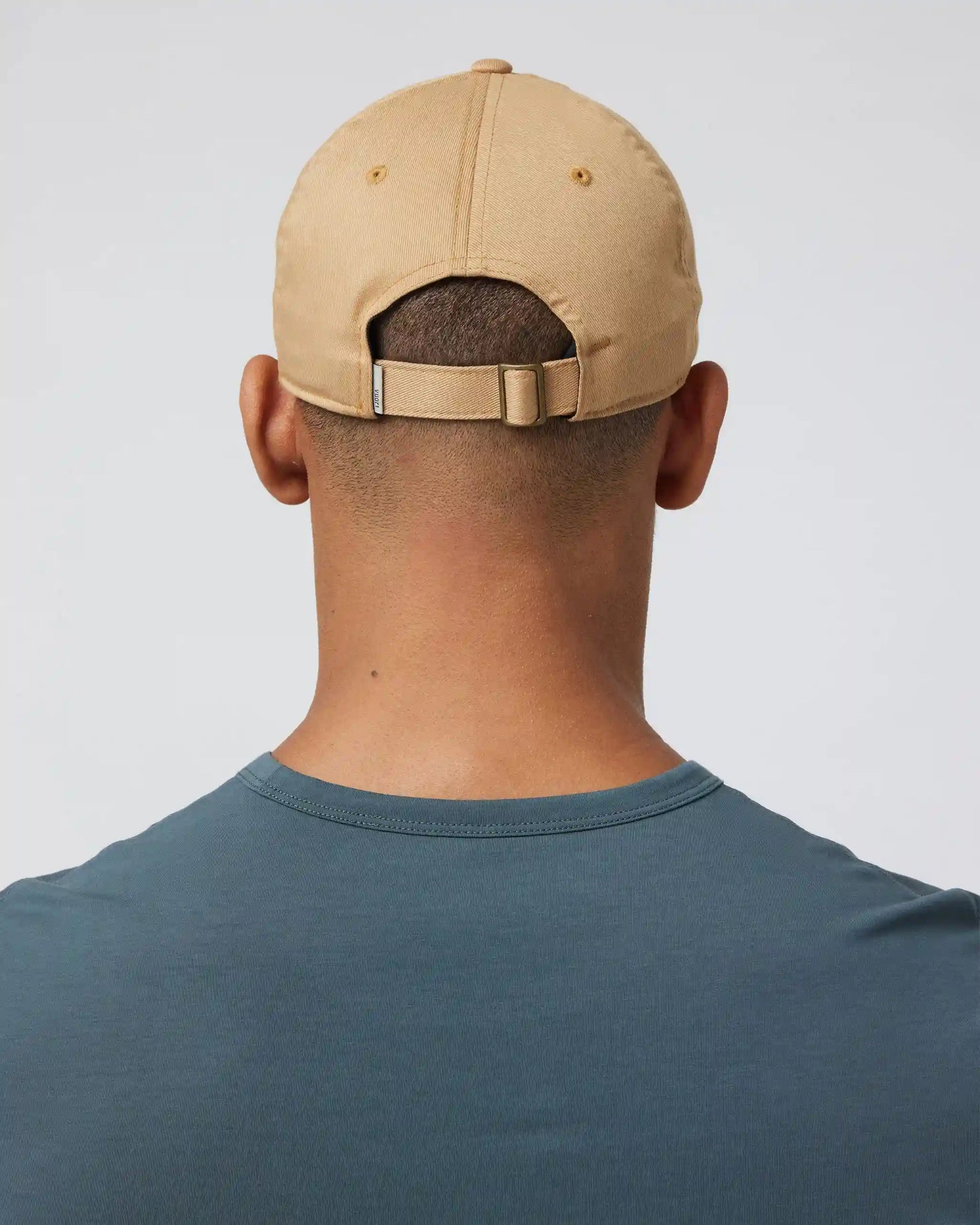 V1 Dad Hat 2.0